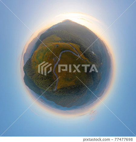 Little planet 360 degree sphere. Panorama of aerial view of tree Marigold or yellow flowers in national garden park and mountain hills in Mae Hong Son, Thailand. Nature landscape. Thung Bua Tong. 77477698