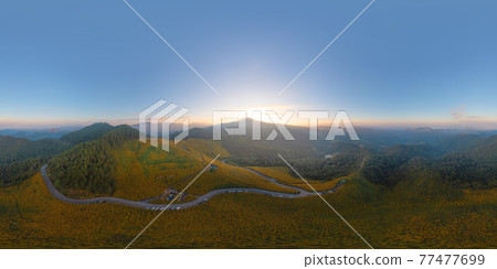 360 panorama by 180 degrees angle seamless panorama of aerial view of tree Marigold or yellow flowers in national garden park and mountain hills in Mae Hong Son, Thailand. Nature. Thung Bua Tong. 77477699