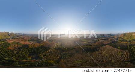 360 panorama by 180 degrees angle seamless panorama of aerial top view of forest trees with fog mist and green mountain hill at sunset. Nature landscape background, Thailand. 360 panorama by 180 degrees angle seamless panorama of aerial top view of forest trees with fog mist and green mountain hill at sunset. Nature landscape background, Thailand. 77477712
