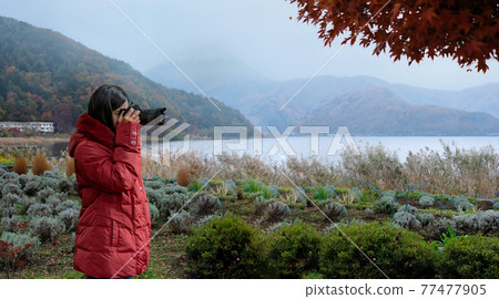 Professional Nature Photographer taking photo Professional Nature Photographer taking photo 77477905