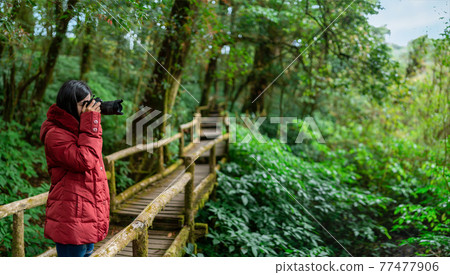 Women Photographer taking photo on morning mountain forest Women Photographer taking photo on morning mountain forest 77477906