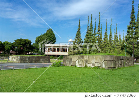 澀谷區外苑前的銀杏林中的石垣 77478366