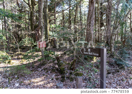 Aokigahara Jukai stone base entrance sign 77478559