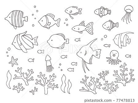 Hand-drawn illustration set of various tropical fish and coral (monochrome) 77478813