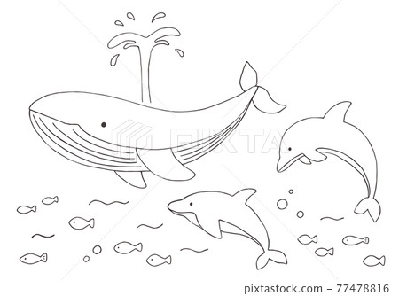 Hand-drawn illustration set of whales and dolphins (monochrome) Hand-drawn illustration set of whales and dolphins (monochrome) 77478816
