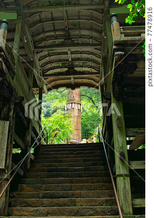 Kurama Temple Kurama Temple 77478916