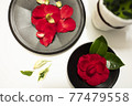 Black Rose Camellia Art on Black Plate 77479558