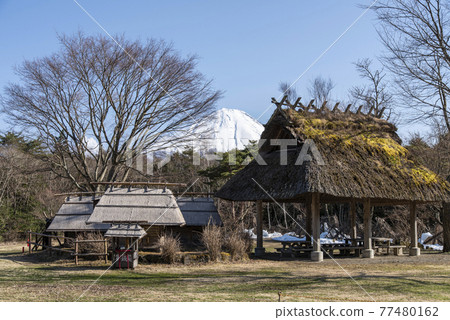 西湖野鳥森林公園 富士河口湖 早晨西湖 西湖野鳥森林公園 富士河口湖 早晨西湖 77480162