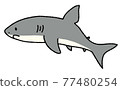 Shark 2 77480254