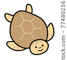Sea turtle 77480256