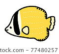 Butterfly fish 77480257