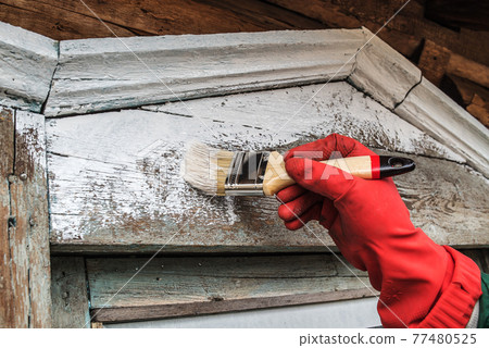 Painting the window of an old wooden house with white paint with a paintbrush 77480525