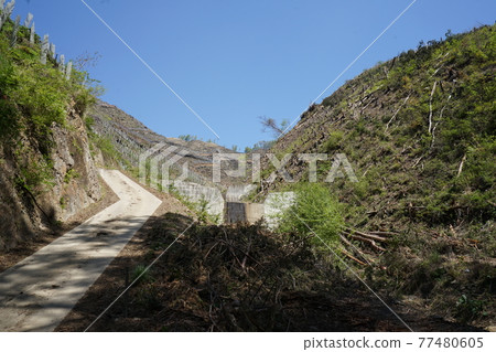 2014年在桐生市久町黑川上游的千人岳附近發生的森林火災等森林恢復情況。 77480605