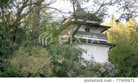 Shiiya Kannondo surrounded by the forest of Cape Kannon 77480671
