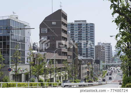 東京井之頭通的風景 77480724