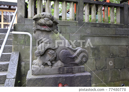 六本木轉送神社(Ryudojinmeigu)A-un守護犬 六本木轉送神社(Ryudojinmeigu)A-un守護犬 77480778