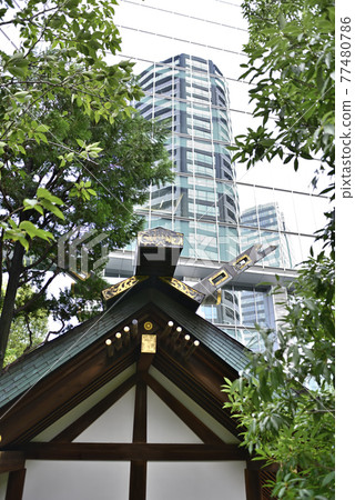 Roppongi Tenso Shrine (Ryudo Shinmeigu) Roppongi Tenso Shrine (Ryudo Shinmeigu) 77480786