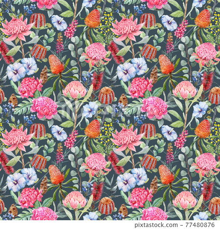 Beautiful seamless pattern with hand drawn watercolor protea banksia and other australian flowers. Stock illustration. Beautiful seamless pattern with hand drawn watercolor protea banksia and other australian flowers. Stock illustration. 77480876