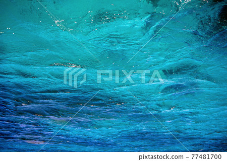 珊瑚礁海 77481700