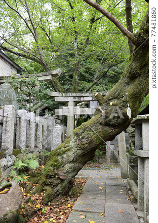 伏見稻荷大社 奇怪的大明神 77481860