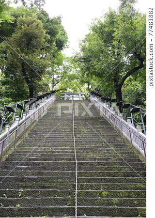愛宕神社,成功的石階(男坂) 愛宕神社,成功的石階(男坂) 77481882
