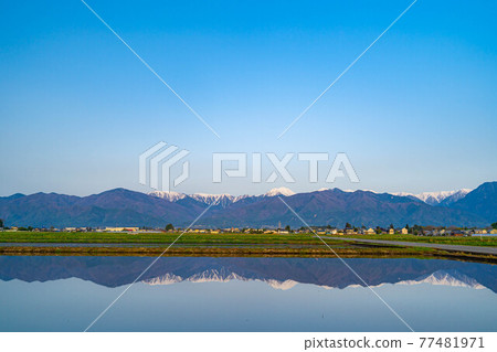 初夏的安曇野市的稻田和水鏡[長野縣] 77481971