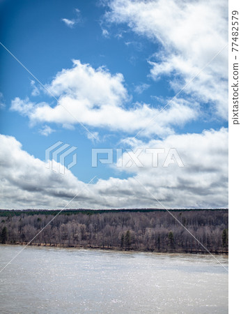 A beautiful, wide river in the spring among the forests. 77482579