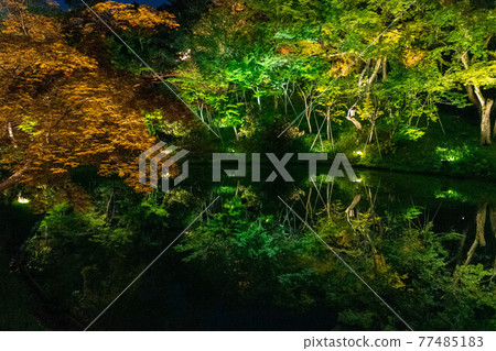 打開藍色秋葉 打開藍色秋葉 77485183