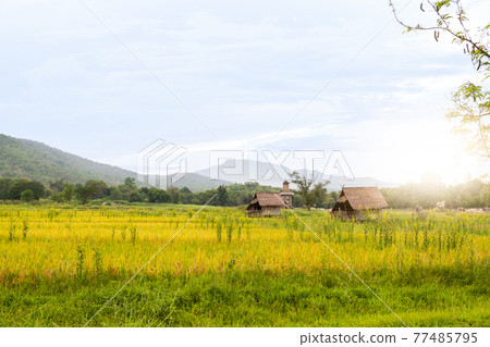 Wonderfully Relaxing Place , Huay Tung Tao Chiang Mai, Thailand 77485795