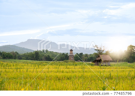 Wonderfully Relaxing Place , Huay Tung Tao Chiang Mai, Thailand 77485796