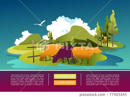 rural landscape summer ecologically clean pastures rural landscape summer ecologically clean pastures 77485845