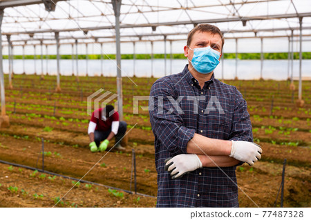 Portrait of confident owner in protective medical mask standing in hothouse Portrait of confident owner in protective medical mask standing in hothouse 77487328