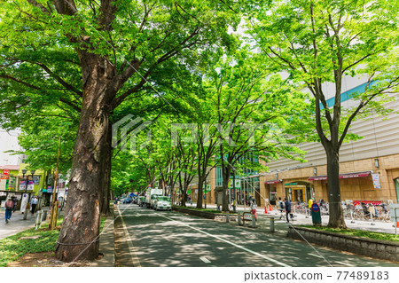 Keyakinamiki Dori, Fuchu City, Tokyo Keyakinamiki Dori, Fuchu City, Tokyo 77489183