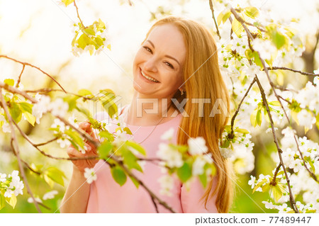 attractive woman near flowering tree in spring park. Cherry Orchard. solar glare attractive woman near flowering tree in spring park. Cherry Orchard. solar glare 77489447