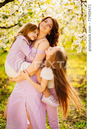A family in a blossoming spring garden. Happy mom and two daughters. A family in a blossoming spring garden. Happy mom and two daughters. 77489471