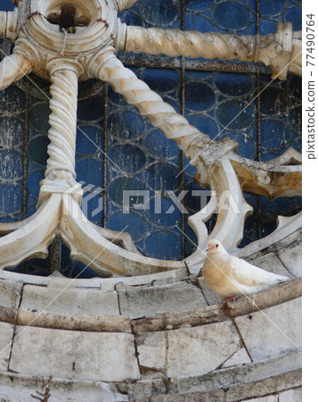Old rose window of romanesque church with a dove 77490764