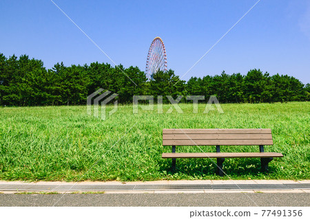 (東京) 夏日的天空、公園和摩天輪 (東京) 夏日的天空、公園和摩天輪 77491356