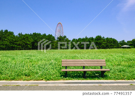 (東京)仲夏公園、長椅和草坪 (東京)仲夏公園、長椅和草坪 77491357