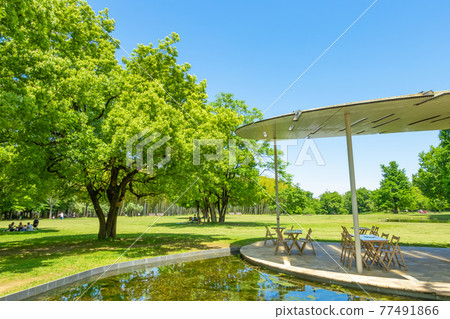 Forest of learning, park full of greenery <Kakamigahara City, Gifu Prefecture> Forest of learning, park full of greenery <Kakamigahara City, Gifu Prefecture> 77491866
