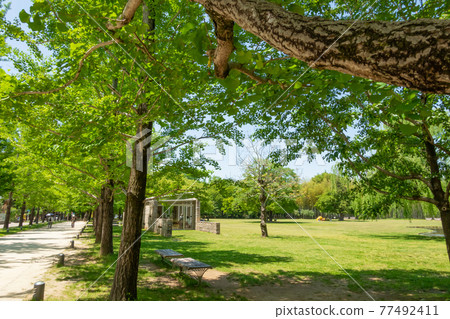 Forest of learning, park full of greenery <Kakamigahara City, Gifu Prefecture> 77492411