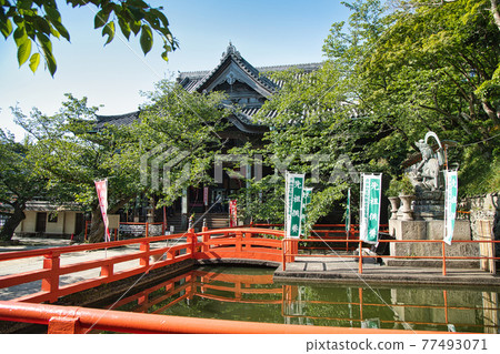 Kongohoji Temple (Kimiidera) Main Hall [Wakayama City, Wakayama Prefecture] 77493071