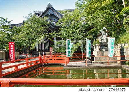 Kongohoji Temple (Kimiidera) Main Hall [Wakayama City, Wakayama Prefecture] 77493072