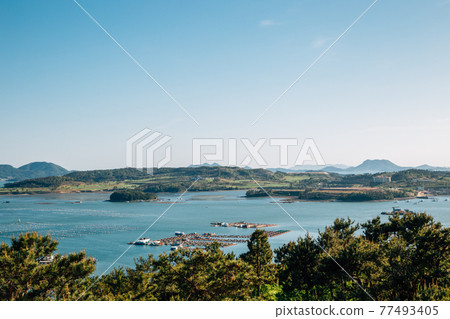 View of sea and island from Dolsan park in Yeosu, Korea View of sea and island from Dolsan park in Yeosu, Korea 77493405