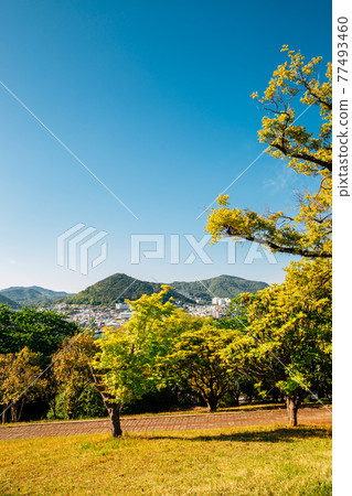 Dolsan park in Yeosu, Korea 77493460