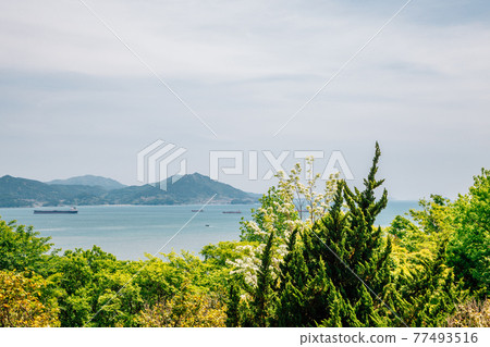 View of Seascape from Jasan Park in Yeosu, Korea 77493516