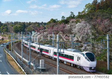 偕樂園和常磐線特快列車 77493582