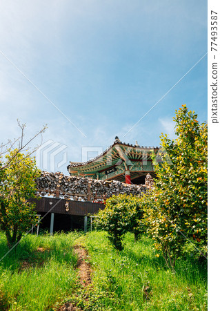 Jasan Park Korean traditional pavilion in Yeosu, Korea 77493587