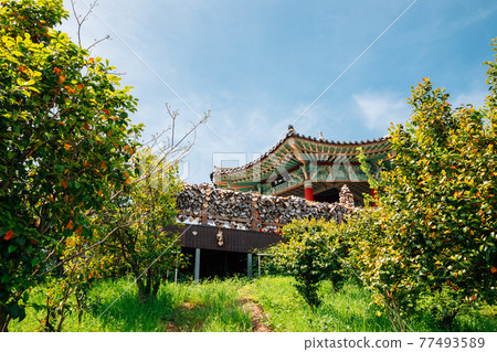 Jasan Park Korean traditional pavilion in Yeosu, Korea Jasan Park Korean traditional pavilion in Yeosu, Korea 77493589