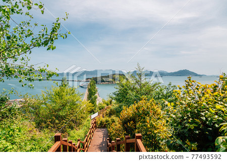 Odongdo Island and sea from Jasan Park in Yeosu, Korea Odongdo Island and sea from Jasan Park in Yeosu, Korea 77493592