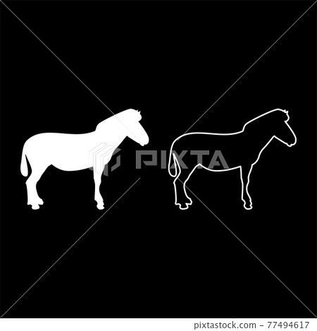 Zebra stand Animal standing silhouette white Zebra stand Animal standing silhouette white 77494617